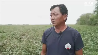 八戒体育-巴恩斯利遭遇剧变，全力应对未来挑战(比斯利单挑斯蒂芬森)